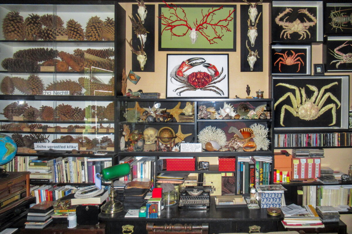 Jan Zuziak: An Outsider’s Insidership